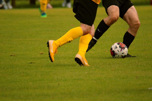 在中國效力 在中國效力